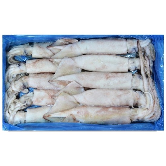 해물총각 냉동 오징어 3kg이미지입니다. 누르면 해당 게시물로 새창이동합니다.