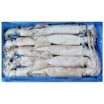 해물총각 냉동 <b>오징어</b> 3kg
