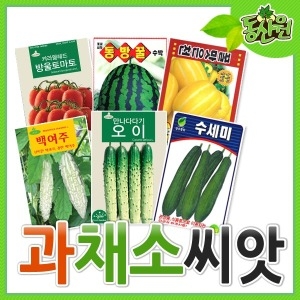동산원  씨앗모음 방울토마토씨 오이씨 양배추씨 양파씨 씨앗