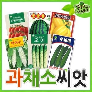 동산원 <b>씨앗</b>모음 방울토마토씨 오이씨 양배추씨 양파씨 <b>씨앗</b>