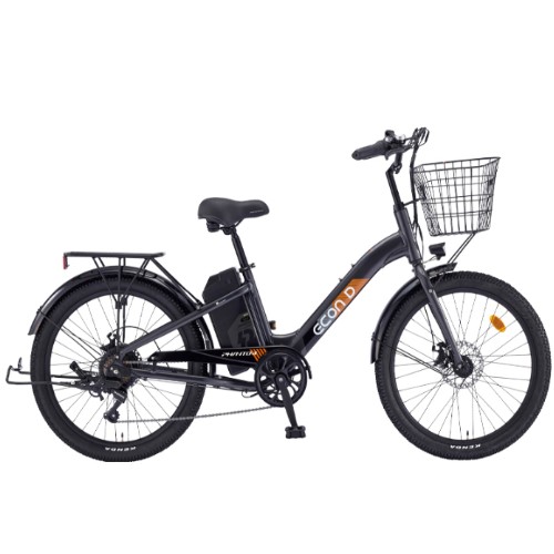 ��õ�������� ���� ���� D DUAL (2025����)