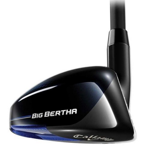 Ķ������ 2021 ����� ���� ������ �޼� ���̺긮��