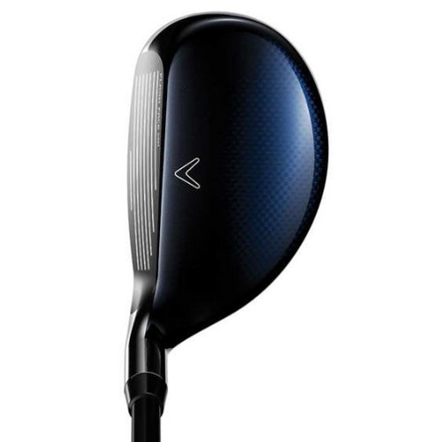 Ķ������ 2021 ����� ���� ������ �޼� ���̺긮��