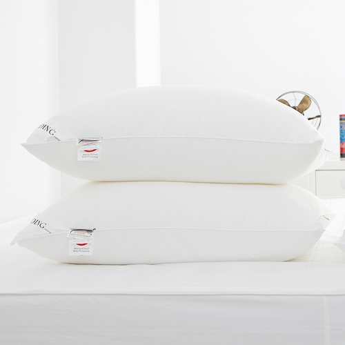 아토앤알로 항균에어로쿨 알러지케어 레귤러 일반 베개솜 (2개, 70x50cm)_이미지