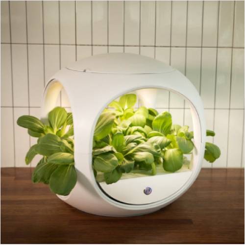 닥터플랜츠 DR-PLANTS001_이미지