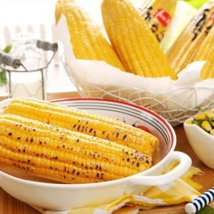 �㽺��Ʈ ��� ������ 2����