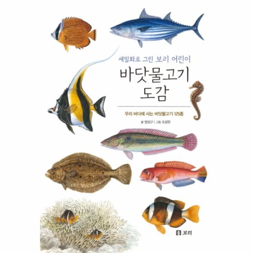 보리 세밀화로 그린 보리 어린이 도감 (보급판) (바닷물고기)