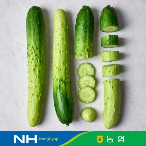 동김제농협 백다다기 오이 특상품 내외 취청오이 청오이 (2kg,10개)_이미지