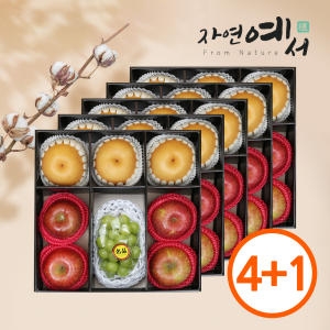 명품 혼합과일 선물세트 1호 2.9kg