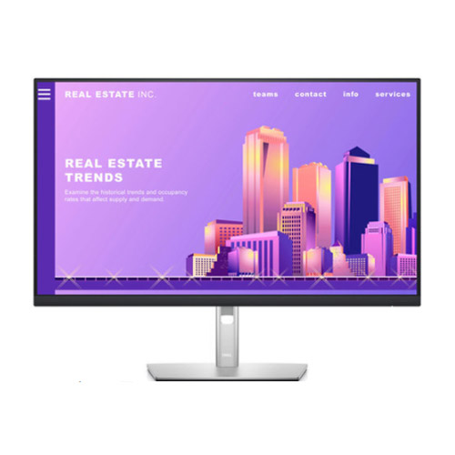 DELL P2422H (해외구매)_이미지
