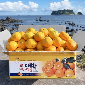 신선한집 서귀포 효돈 농장 노지 감귤 주스용 특대과 10kg이미지입니다. 누르면 해당 게시물로 새창이동합니다.