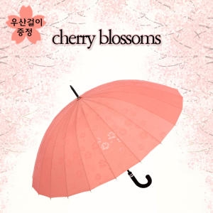 비가오면 꽃이 피는 벚꽃 장우산 사쿠라우산_이미지