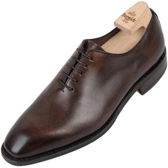 버윅 옥스퍼드 5216 (테스타)_이미지