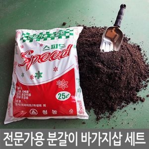 û�� �������� �а��� �ٰ����� ��Ʈ  �а����� �ٰ�����