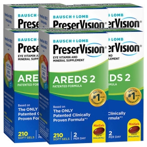 �ٽ��� ���������� �Ʒ���2 210��