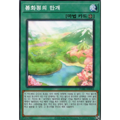 한글판 봄화정의 만개 노멀 DABL-KR066 1개