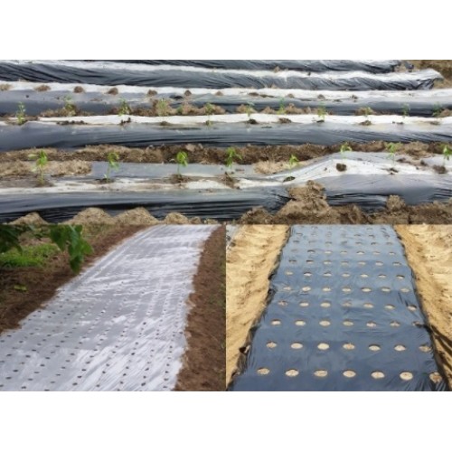 세원비닐 흑색 유공 멀칭비닐 0.02mm 9구 (150cm x 200m)