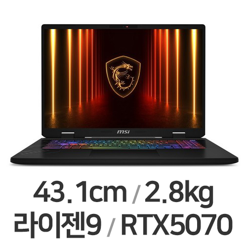 MSI 크로스헤어 A17 HX D9WGKG-R9 QHD+ W11 (SSD 1TB)