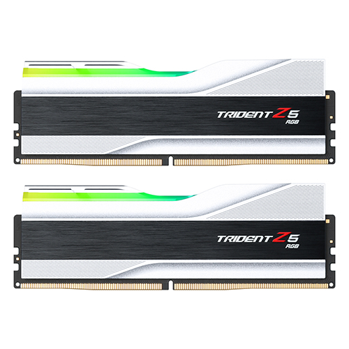 G.SKILL DDR5-6600 CL34 TRIDENT Z5 RGB 실버 패키지 (32GB(16Gx2))