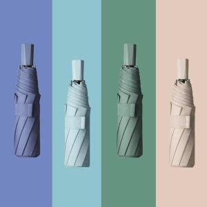 ������� �½� 3�� �ν����̾� ������ ������� ONS-UM807 S10921646