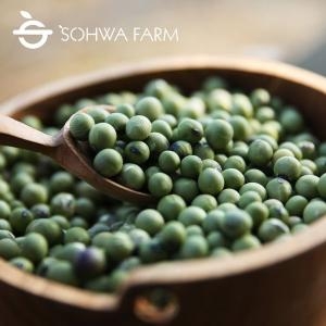 소화농장 청태1kg 청서리태 청대_이미지