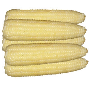 조은상사 냉동 옥수수 백찰특대 20개 7kg (1개)_이미지