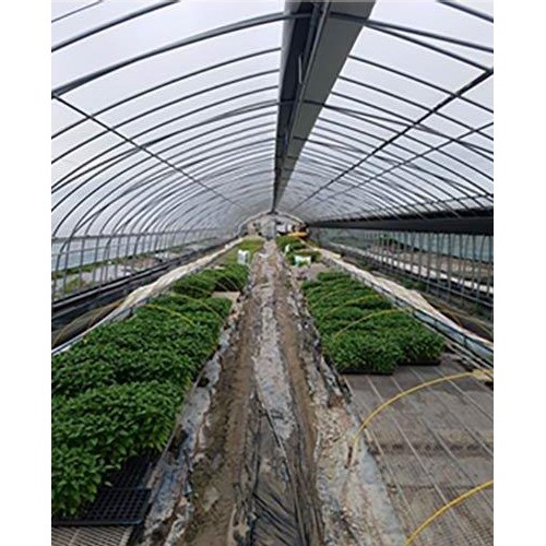 동아필름 하우스용 장수 비닐 0.06mm (10m x 60m)_이미지