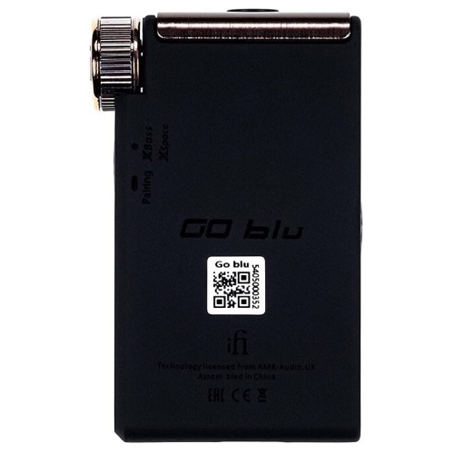iFi audio GO blu