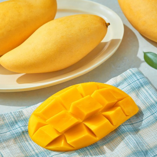 태국 남독마이 망고 XL 3입 1.1kg (2개)_이미지