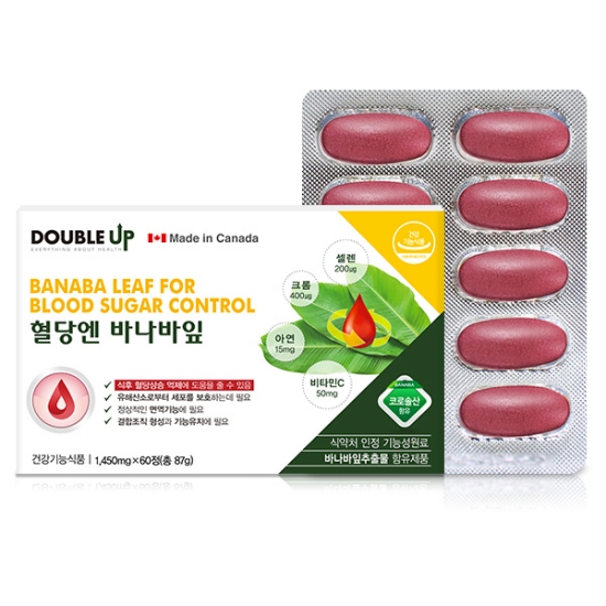 ������ ���翣 �ٳ����� 60��