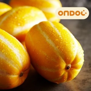 성주 참외 5kg 12-18과 로얄과/실속형