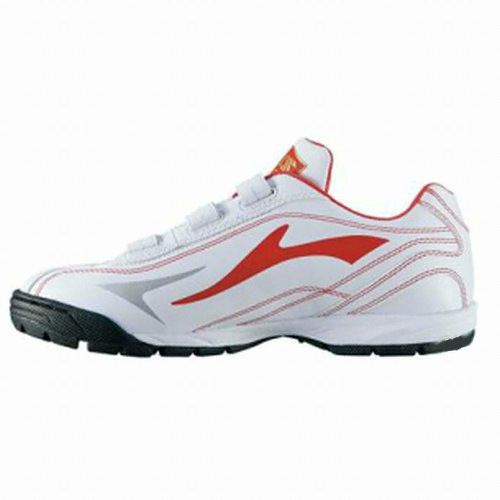 ��Ʈ BSR8206RD ���ǿ�Ʈ DX2