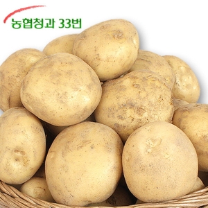 농협청과33번 감자 특 10kg (1개)