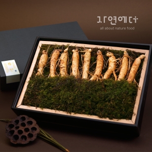 �ڿ����� �����λ� ������Ʈ 1ȣ 450g