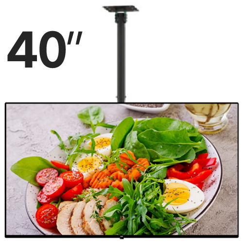 알에프 RDS4040F (천장형 CBR2053)