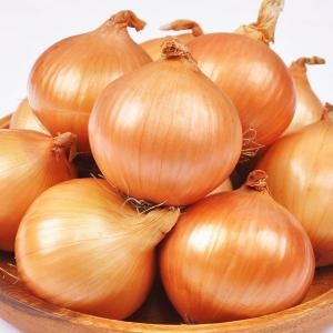 Ǫ���� 23��� ������ ���� 10kg �� ������ 100g �̸�