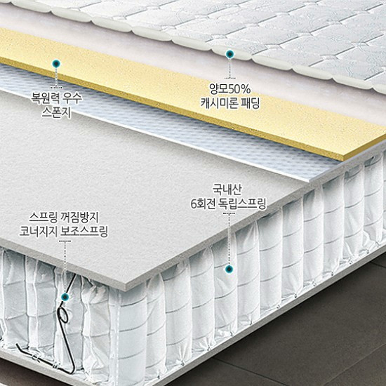 ��ƽ�ħ�� ȣ�ڽ� ������ ���Ͻ����� ��Ʈ���� SS