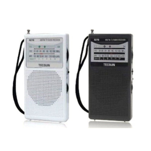 TECSUN R218 (해외구매)_이미지