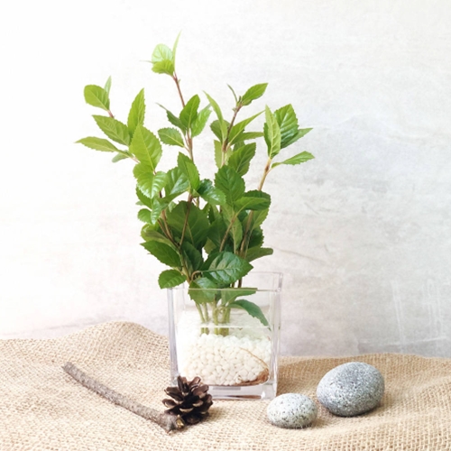 �÷�Ʈ���丮 �԰�����ȭ�Ĺ� ��ȣ�� ���� ������� ��Ʈ