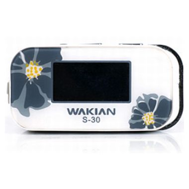 시스템베이 S-30 (512MB)