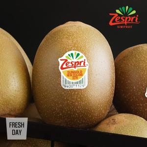 프레시데이 골드키위 점보특대 15입 2.1kg내외