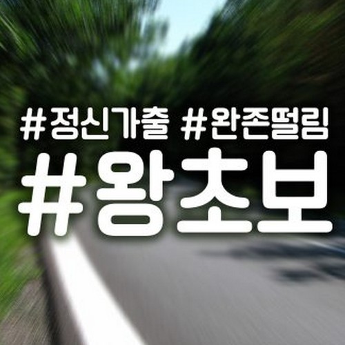 자동차스티커 해시태그 정신가출왕초보
