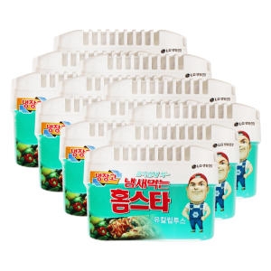 홈스타 냄새먹는 홈스타 냉장고용 유칼립투스 420g (12개)_이미지