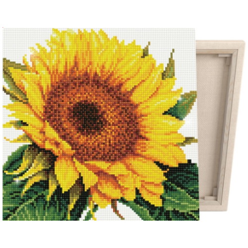 ���̷��������� DIY ĵ������ �������ڼ� �عٶ�� ��