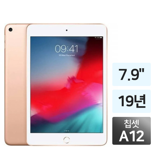 APPLE iPad mini 5세대 Cellular (256GB)_이미지