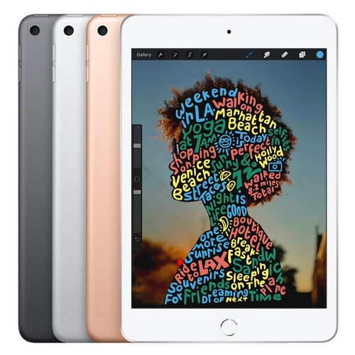 APPLE iPad mini 5세대 Cellular (256GB)_이미지
