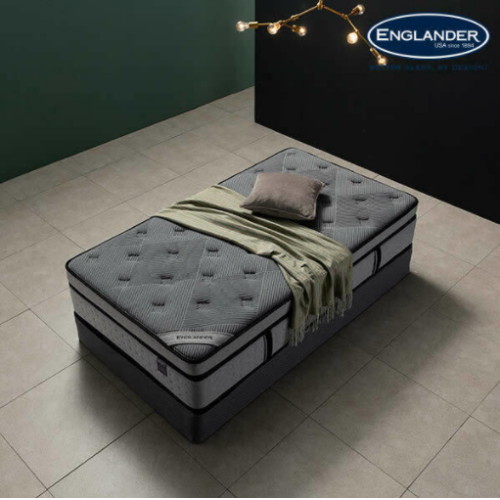 �ױ۷��� �׷��� ȣ���÷��� ��Ʈ�� �޸��� ��� 9�� ���������� ��Ʈ���� SS