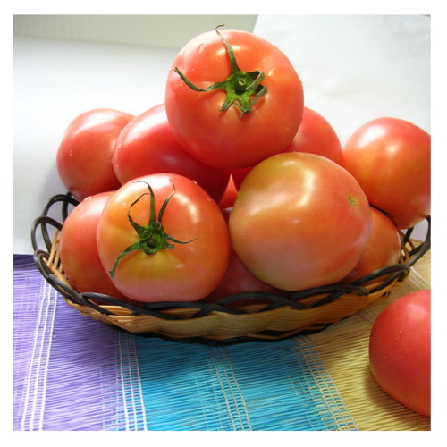 땡이네과일가게 찰토마토 소과 5kg