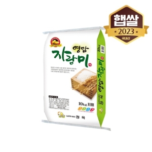 2025 햅쌀 영암 자랑미 10kg