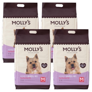 몰리스 쉬야응가 냄새잡는 패드 M 80매